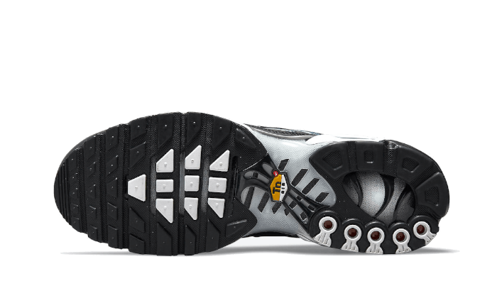 Air Max Plus Dark Smoke Grey