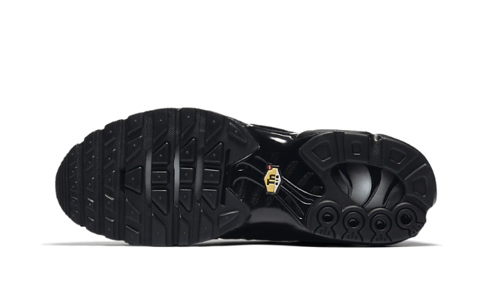 Air Max Plus Triple Black
