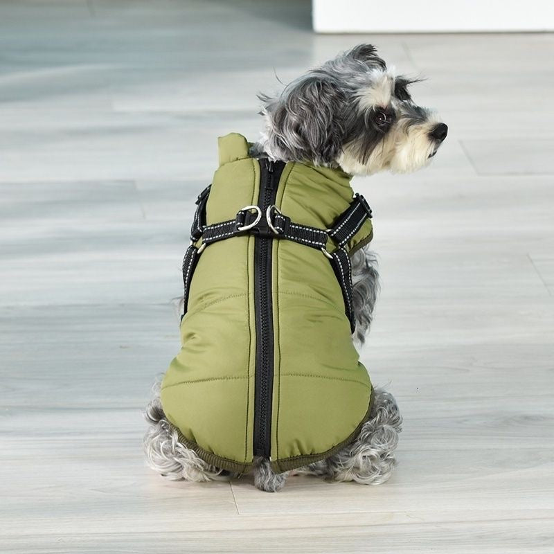 Veste pour chien