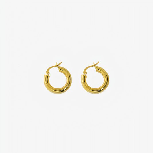 Mini Hoops Earrings