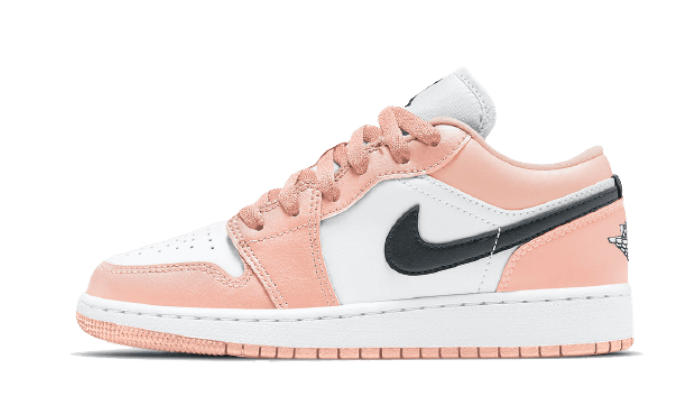 Air Jordan 1 Low Light Arctic Rose