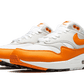 Air Max 1 Anniversary Orange (2020)