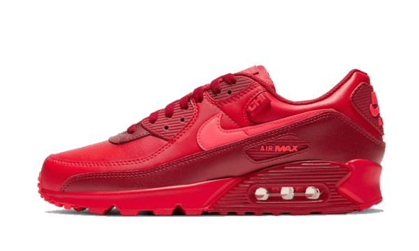 Air Max 90 Chi-City Special