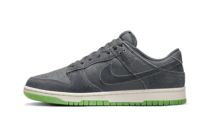 Dunk Low Swoosh Shadow Iron Grey