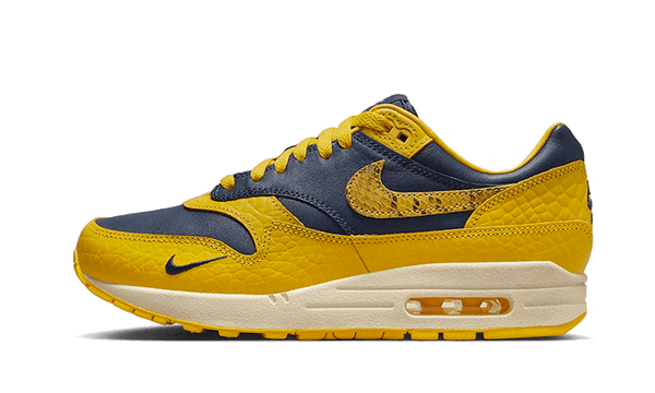 Air Max 1 CO.JP Michigan