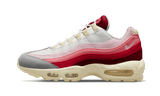 Air Max 95 Anatomy of Air