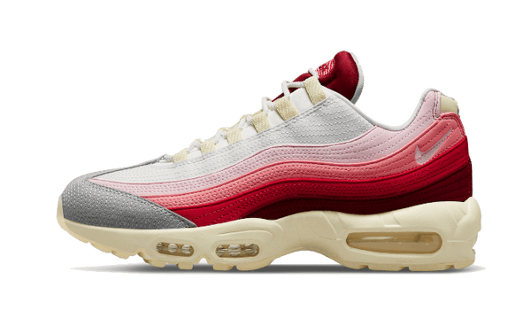 Air Max 95 Anatomy of Air