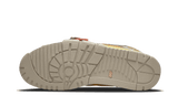 Air Trainer 1 SP Coriander