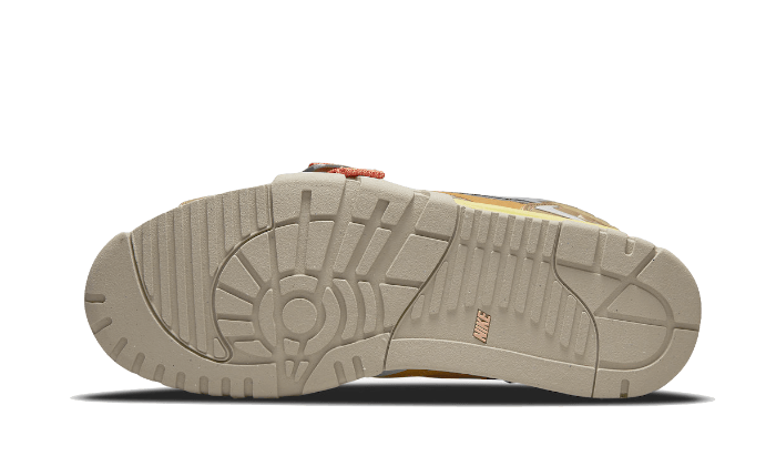 Air Trainer 1 SP Coriander