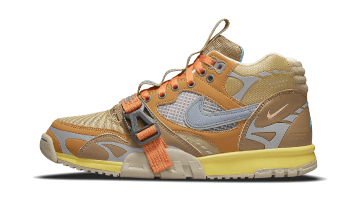 Air Trainer 1 SP Coriander