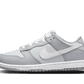 Dunk Low Two-Toned Grey Enfant (PS)